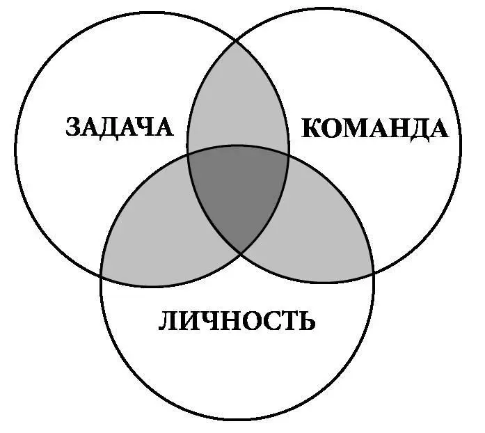 Рис 41 Три круга функционального ориентированного на действие лидерства - фото 7