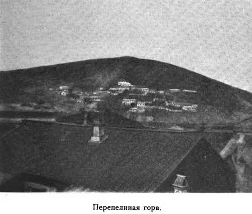 Батареи развивъ быстрый огонь поддерживали его въ теченіе 3хъ часовъ Къ - фото 79