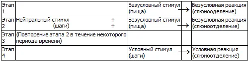 Итак имея теоретическое объяснение наблюдений Павлов начал серию - фото 13