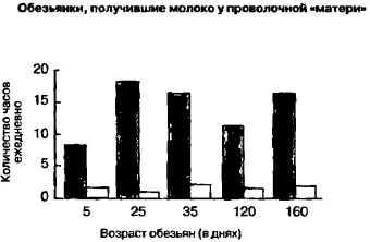 Рис 1Время проведенное ежедневно с матерчатой и проволочной матерями Две - фото 33