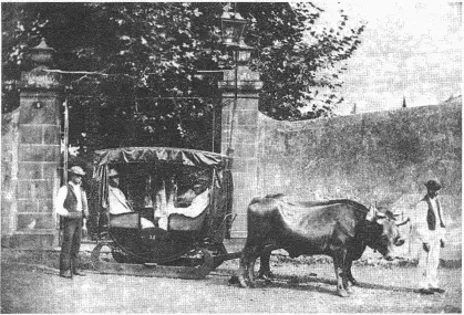 В одной из английских колоний 1890е гг Прийдя на рейд я не салютовал - фото 20