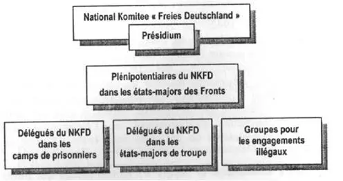 Общая структура Национального Комитета Свободная Германия Президиуму НКСГ - фото 1