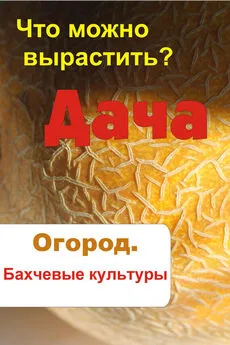 Илья Мельников - Что можно вырастить? Огород. Бахчевые культуры