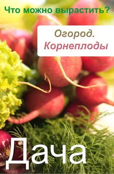 Илья Мельников - Огород. Корнеплоды. Что можно вырастить?