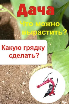 Илья Мельников - Что можно вырастить? Какую грядку сделать?