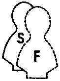 ISFJ интровертсенсорик этический ESTP и ESFP Экстравертысенсорики Как - фото 4