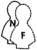 INFJ интровертинтуит этический ENTP и ENFP Экстравертыинтуиты Для ENTP и - фото 8