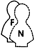 INFP интровертэтик интуитивный ESFJ и ENFJ Экстравертыэтики Для ESFJ и - фото 12