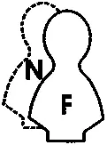 ENFJ экстравертэтик интуитивный ISTP и INTP Интровертылогики Для ISTP и - фото 14