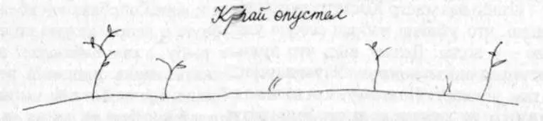 Пан Кодада владелец яместного загородного ресторана назвал себя очередной - фото 36