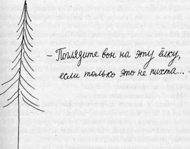 Пан советник повернулся и мысленно провел прямую линию по воздуху от открытого - фото 77