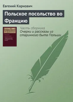 Евгений Карнович - Польское посольство во Францию