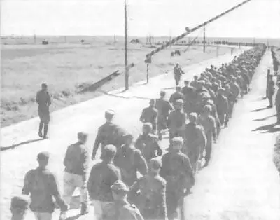 Колонна финских военнопленных 1944 г Лагерь УПВИ НКВД СССР г Боровичи - фото 4