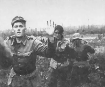 Финны сдаются в плен 1944 г Мл сержант Арво Матиас УусиКаккури ММНА - фото 19
