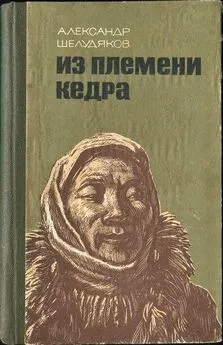 Александр Шелудяков - ИЗ ПЛЕМЕНИ КЕДРА