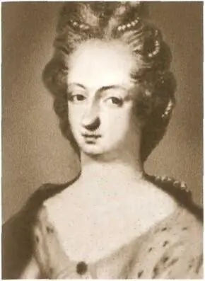 Мать Карла XII королева Ульрика Элеонора Сестра Карла XII Ульрика Элеонора - фото 7