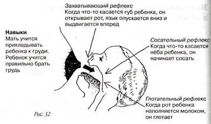 2 Прижатие вытянутой ареолы языком к нёбу Вдоль языка ребенка от его - фото 34