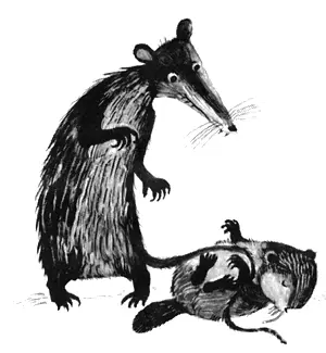 После того как с бывшим вожаком разделались как полагается снова вспомнили - фото 13