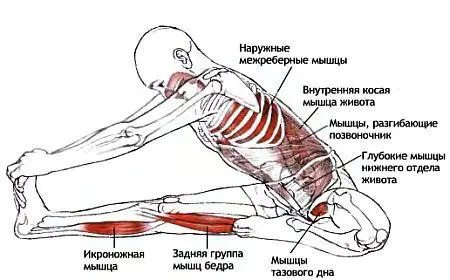 Классификация и уровень сложности Поза для отработки техники дыхания высокого - фото 58