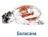 СуптаВирасана Поза героя лежа на спине supta лежать vira смелый - фото 63