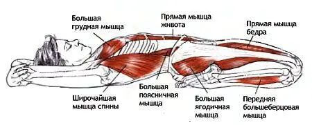 Классификация и уровень сложности Поза для растяжки мышц паховой области - фото 64