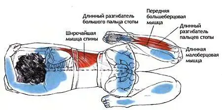 Классификация и уровень сложности Поза для растяжки мышц паховой области - фото 65