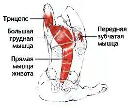 Классификация и уровень сложности Поза прогнувшись из положения стоя на - фото 71