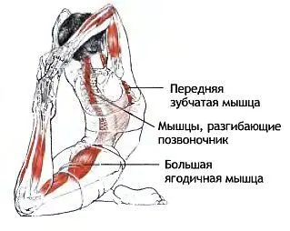 Классификация и уровень сложности Поза прогнувшись из положения стоя на - фото 72
