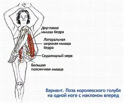 Это самое распространенное упражнение ни растяжку грушевидной мышцы Ввиду того - фото 74