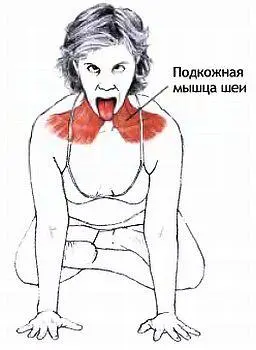 Классификация и уровень сложности Базовая поза стоя на коленях для растяжки - фото 77
