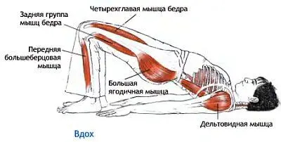 Классификация и уровень сложности Базовая виньяса в положении лежа на спине - фото 85