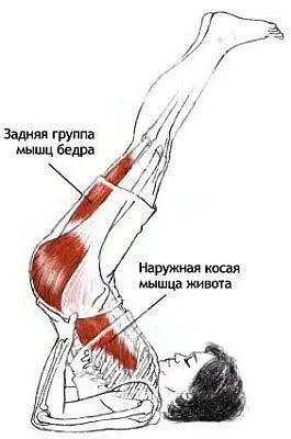 Классификация и уровень сложности Базовая поза из положения лежа Движения - фото 89