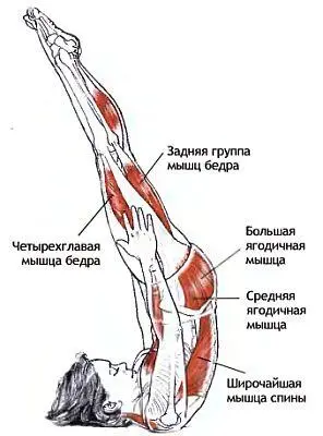 Классификация и уровень сложности Стойка на плечах среднего уровня сложности - фото 96