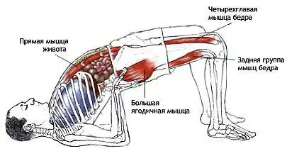 Классификация и уровень сложности Базовая поза из положения лежа на спине - фото 97