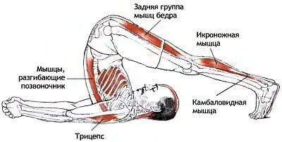 Классификация и уровень сложности Базовая поза из положения лежа на спине - фото 98