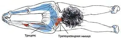 Классификация и уровень сложности Базовая поза из положения лежа на спине - фото 99