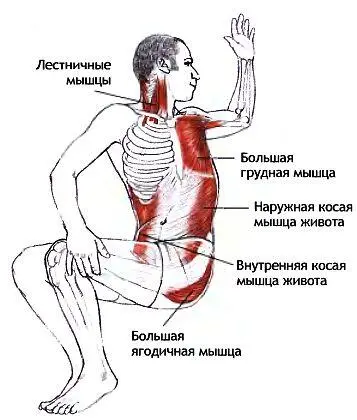 Классификация и уровень сложности Базовая поза из положения лежа со - фото 102