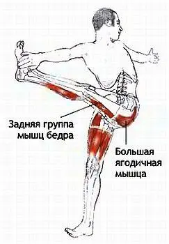Матсиасана Поза рыбы matsya рыба Классификация и уровень сл - фото 103