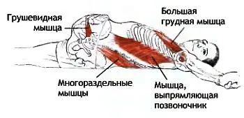 Матсиасана Поза рыбы matsya рыба Классификация и уровень сложности - фото 104