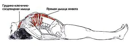 Классификация и уровень сложности Базовая поза в положении лежа прогнувшись - фото 105