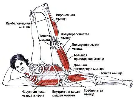 Ананта это мифическая змея на которой возлежал бог Вишну Классификация и - фото 107