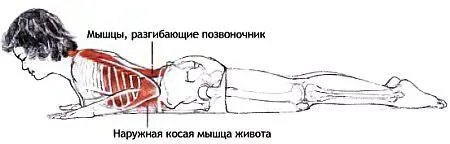 ВАРИАНТ Поза кобры с ногами согнутыми в коленях В этой позе задняя группа - фото 109