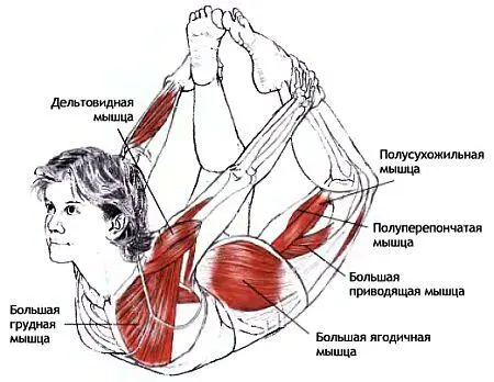Классификация и уровень сложности Поза в положении лежа на животе прогнувшись - фото 111