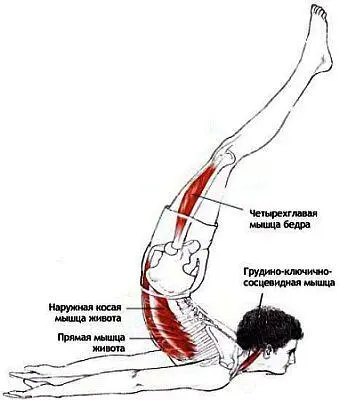 Классификация и уровень сложности Симметричная поза из положения лежа на - фото 114