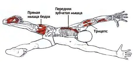 Классификация и уровень сложности Поза в упоре согнувшись среднего уровня - фото 117