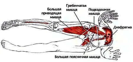 Классификация и уровень сложности Поза в упоре прогнувшись среднего уровня - фото 119