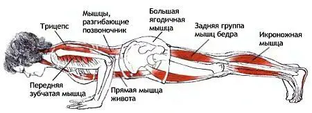 Классификация и уровень сложности Поза в упоре руками с осевым растягиванием - фото 123