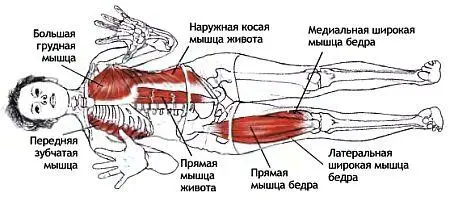 Классификация и уровень сложности Поза в упоре руками с осевым растягиванием - фото 124