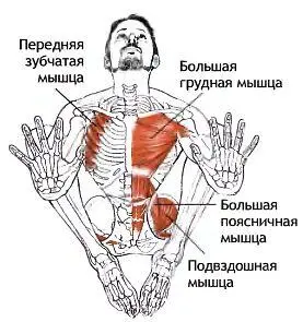 Классификация и уровень сложности Стойка на руках согнувшись среднего уровня - фото 128