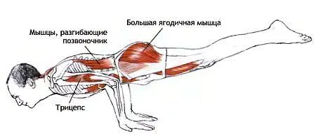 Классификация и уровень сложности Горизонтальная стойка на руках высокого - фото 130